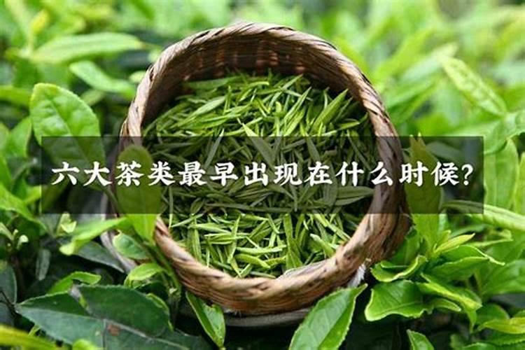 绿萝用什么肥料长得快