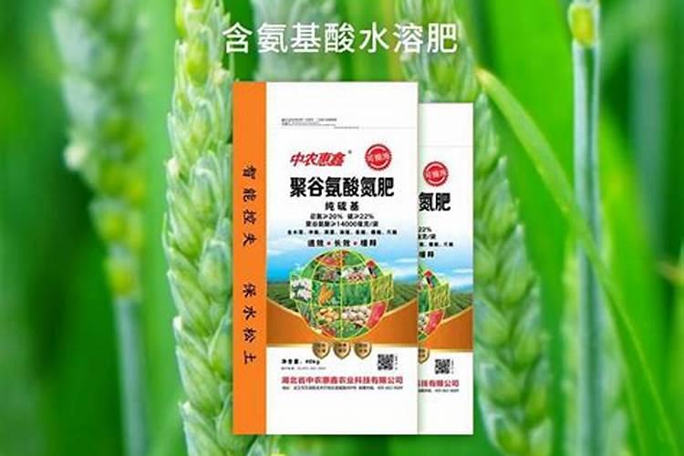 绿萝施肥怎么施(绿萝施肥的正确方法)