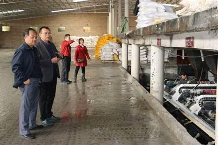 柚子的产地在什么地方？