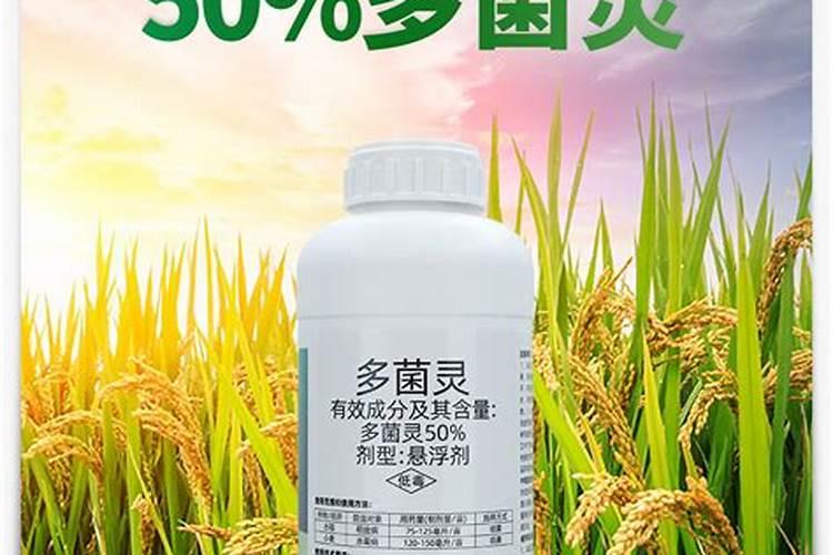 什么氮肥有氨味,什么没有