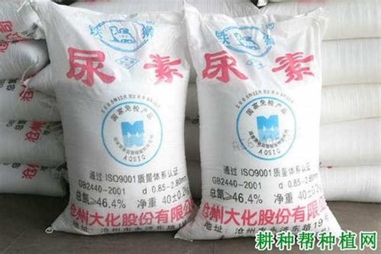 尿素和氮肥有什么区别