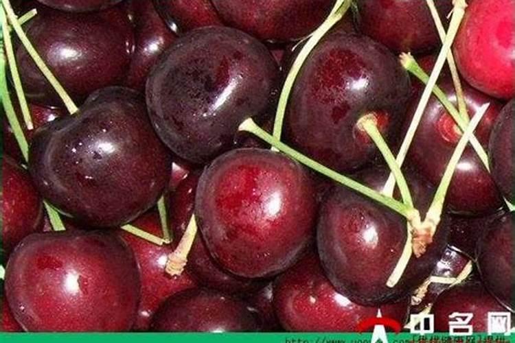 胡萝卜能用氯化钾复合肥吗？