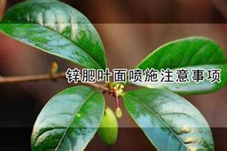 叶面肥料相关质量标准是什么？