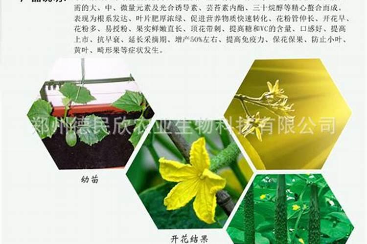 茶叶能施叶面肥吗？