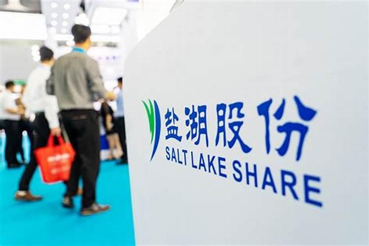 盐湖股份投资价值分析