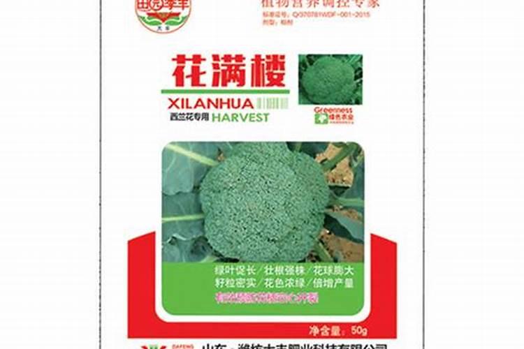 大衣和阔腿裤搭配好看吗？