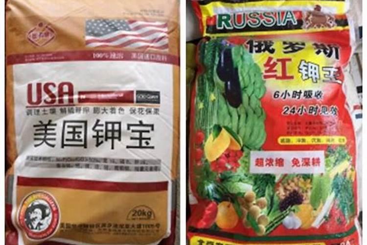 百香果只开花不结果是什么问题？