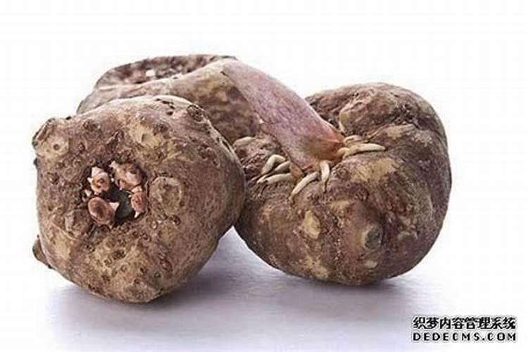 花多多和奥绿肥的使用方法