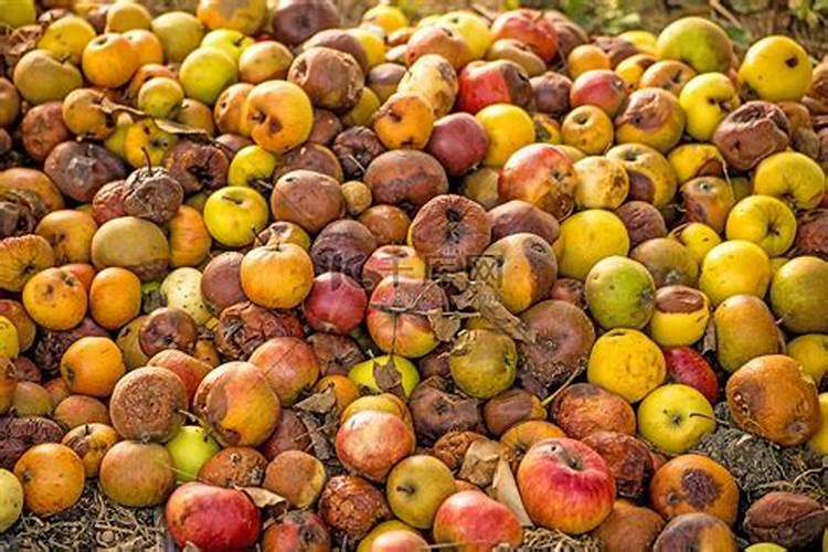 餐饮服务单位预防常见化学性食物中毒的措施有哪些