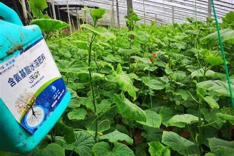 水溶性肥料作为一种新型肥料,水溶肥施肥原则和方法有哪些？