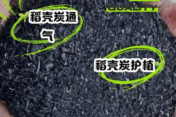 结合实际谈一谈怎样进行薯类作物的栽培