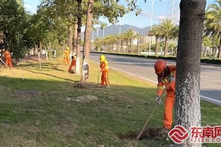 怎样解决土地板结