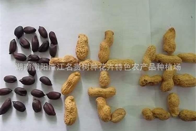 花生含钾高吗