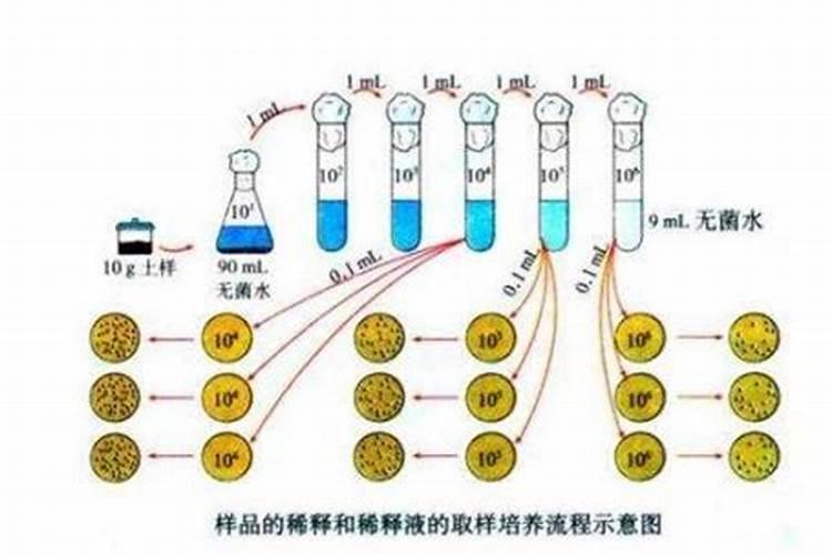 吉林市化公司是干什么的啊？