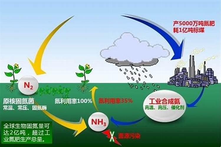 氮气是制造氮肥的重要原料吗