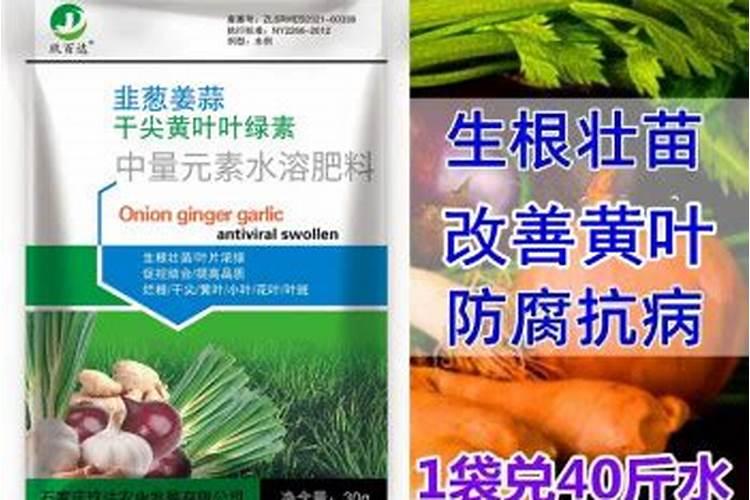 种一亩大葱一年能挣多少呢？
