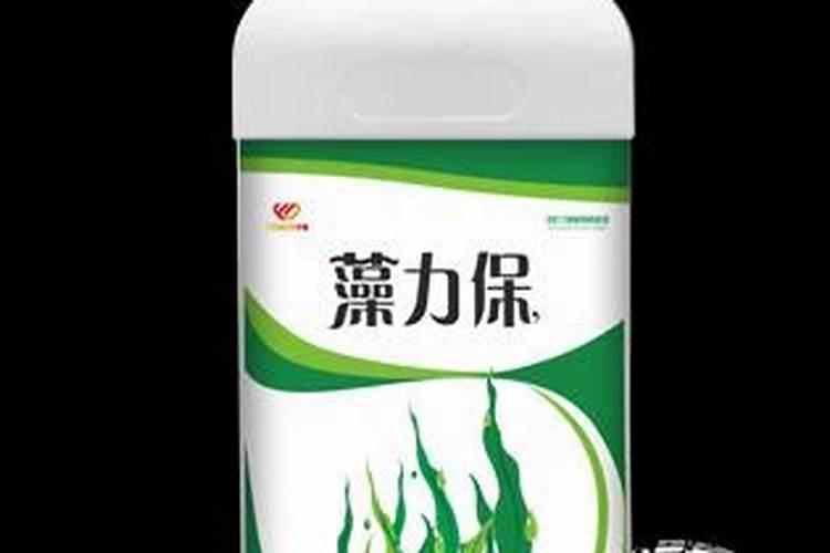 豆浆发酵几天可以浇花