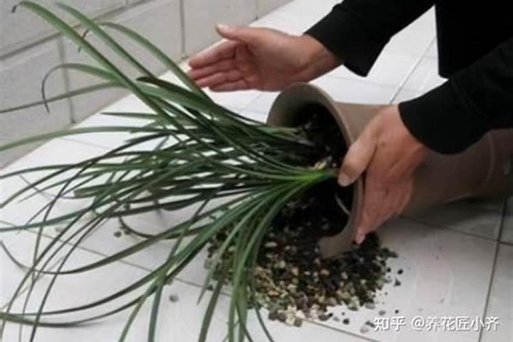 农村的高钾肥是什么肥料