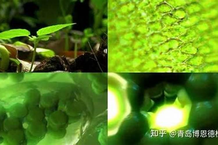 微酸性土壤怎么弄