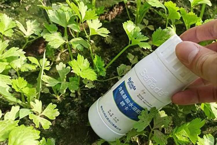 黄腐酸钾的用法用量