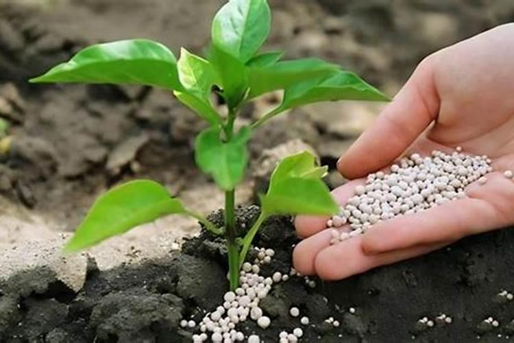 为什么氧化镁的熔点高于氧化铝,而氧化钙的熔点高于氯化钾？到底是用