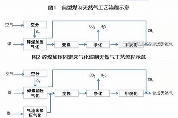 用大豆做底肥的使用方法 怎样用黄豆做肥料