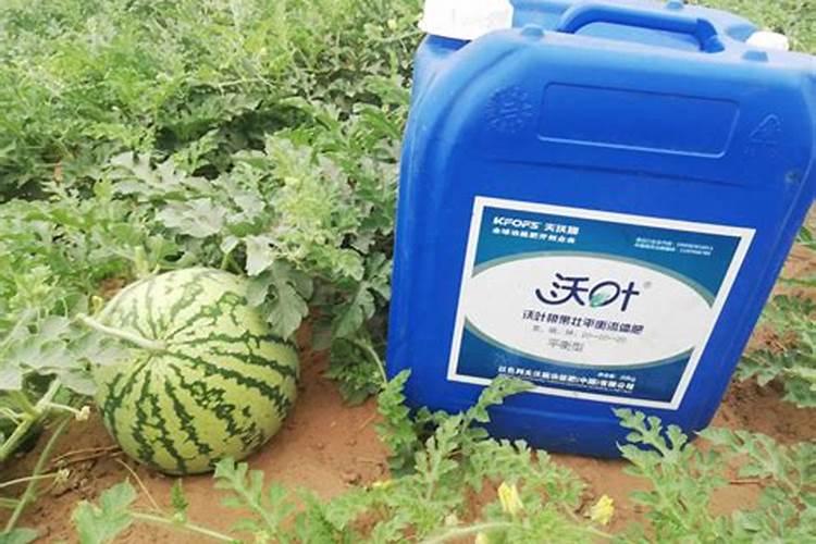 种西瓜用什么肥料好