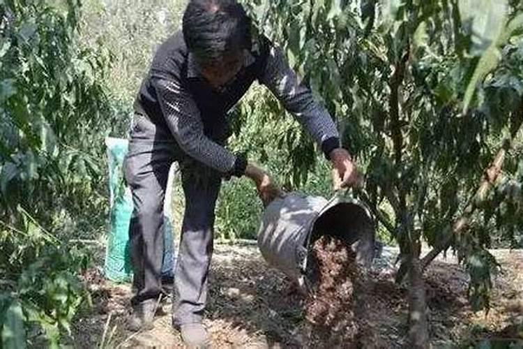 亚盛集团的集团实力