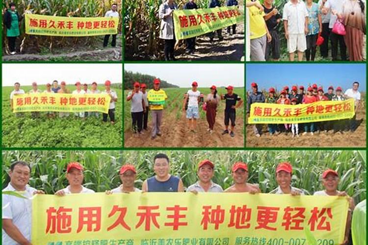 有机肥哪个牌子的好？