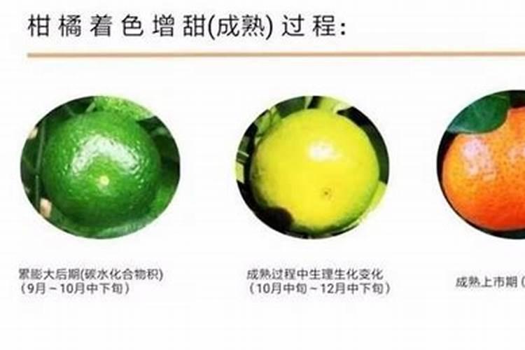 工业氢氧化钾有什么用途？