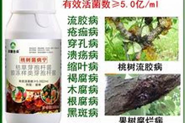 如何正确施用玉米缓控释肥