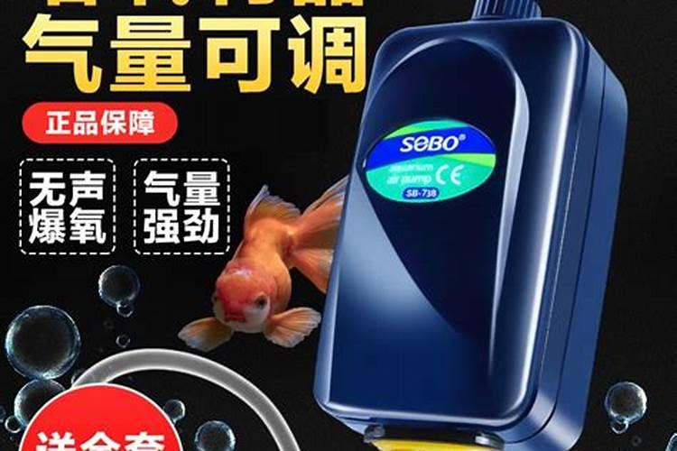 花生出苗后多久浇水