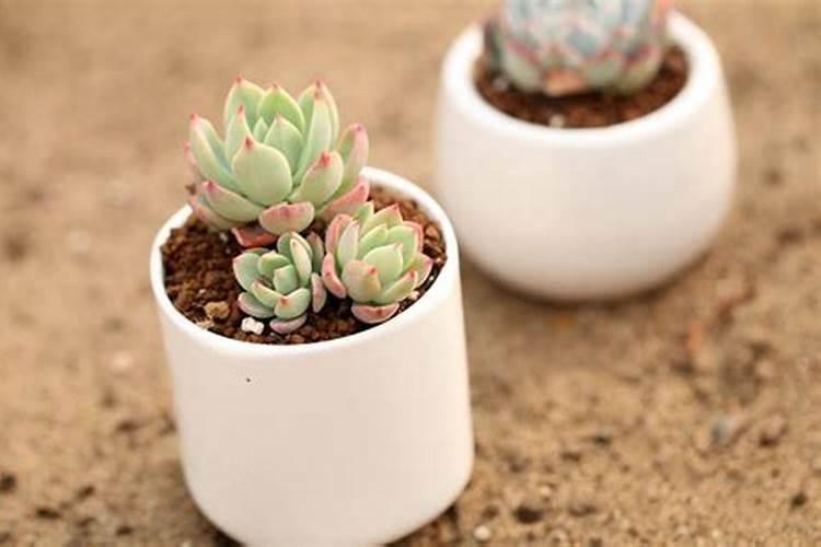 矿粉主要化学成分是什么