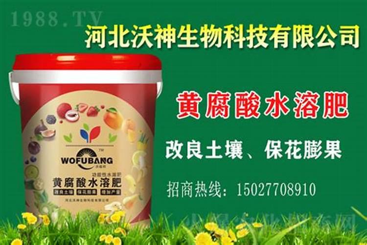 膨果最快的叶面水溶肥方法