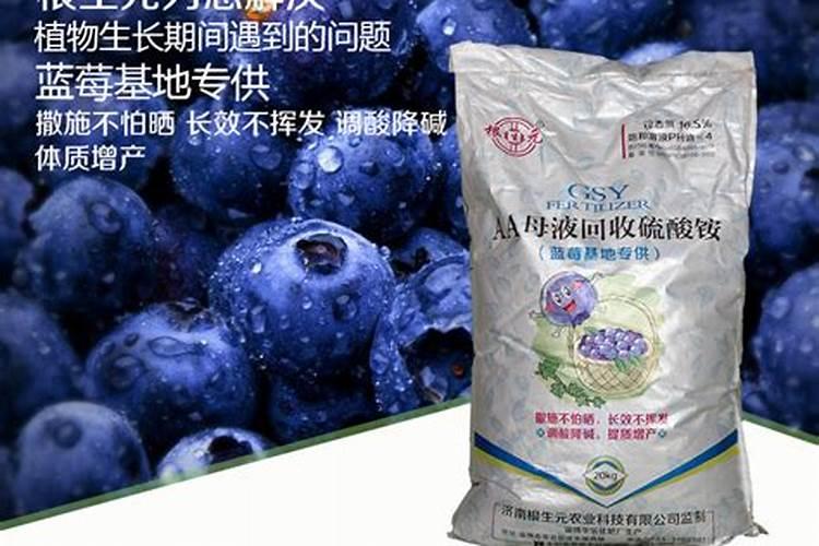蓝莓用什么肥料最好最旺