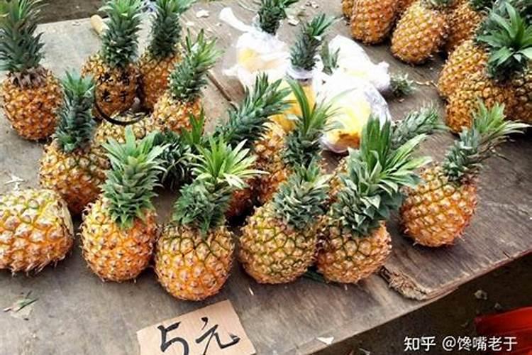 豆饼怎么发酵做肥料最简单的方法