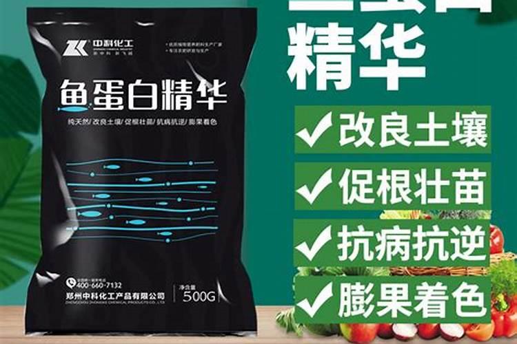 柑橘处于开花阶段适合施用何种肥料