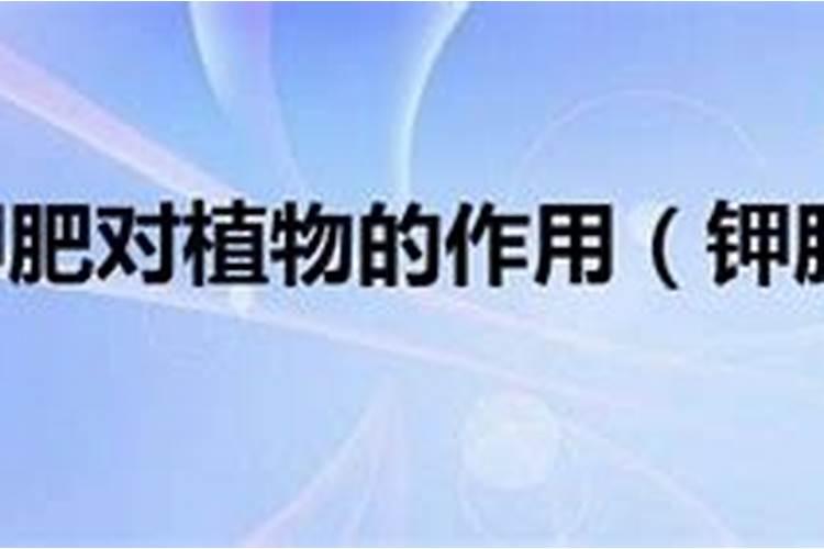 钾肥肥哪些花卉