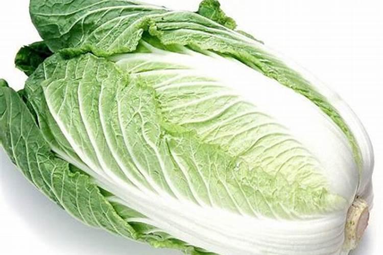 古代人生沙土地种植什么最赚钱