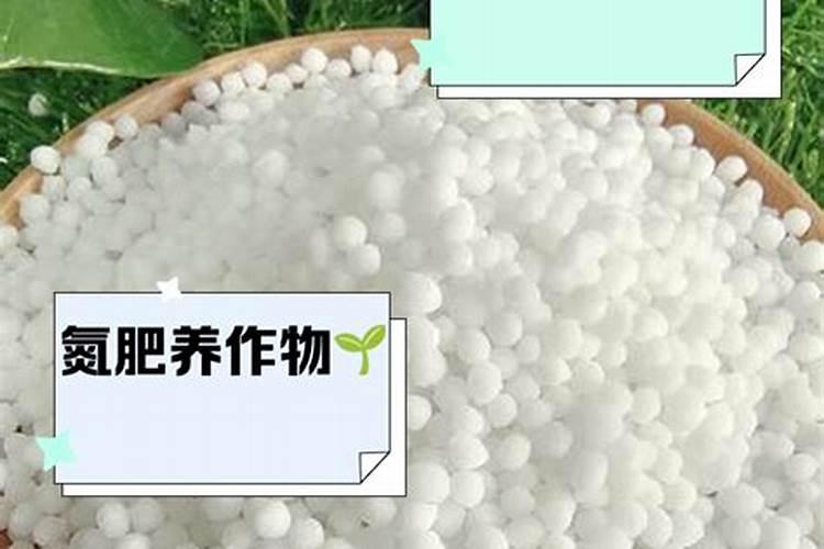 有机肥的作用