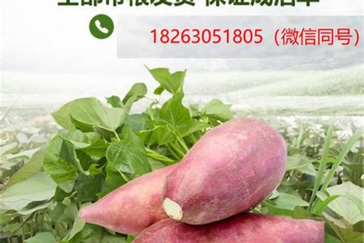 人体每天需要补充多少钙？喝益生缘胶原蛋白钛钙产品行不行？