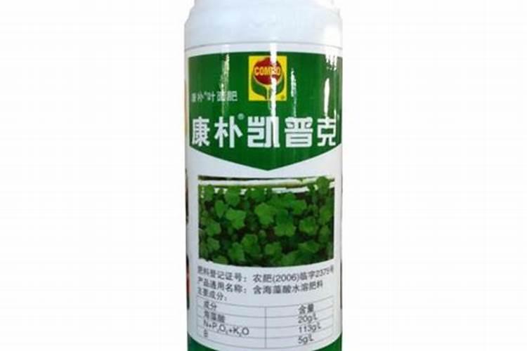 想要解决种植番茄坐果率低的问题,都有哪些方法呢？