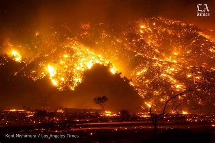 应该怎么分辨优质的水溶肥？