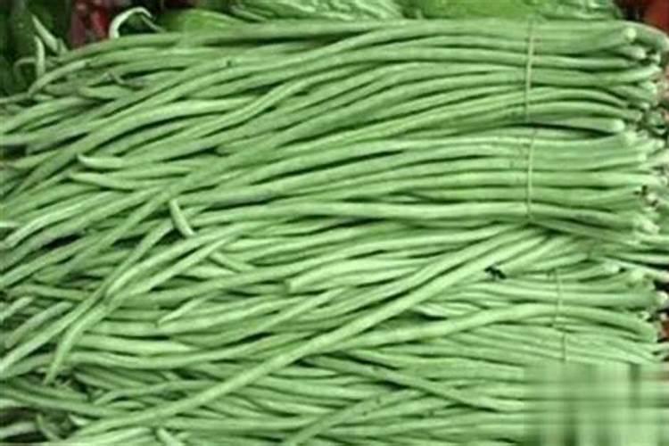 水溶肥排名前十位的有哪些品牌