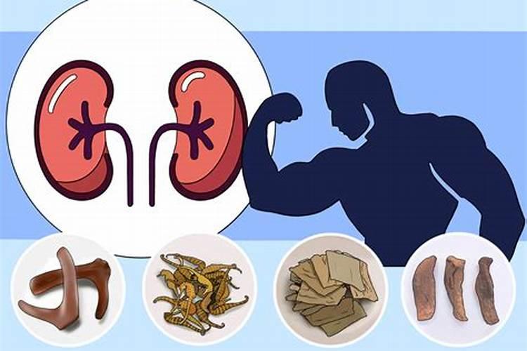 腐植酸、氨基酸、海藻素和鱼蛋白
