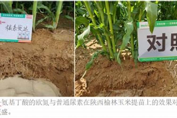 家庭怎样自制氮磷钾肥