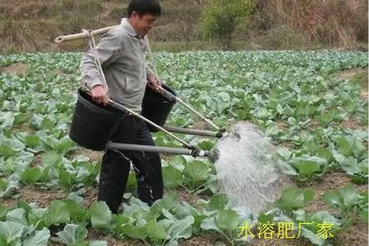 含腐植酸水溶肥料配方