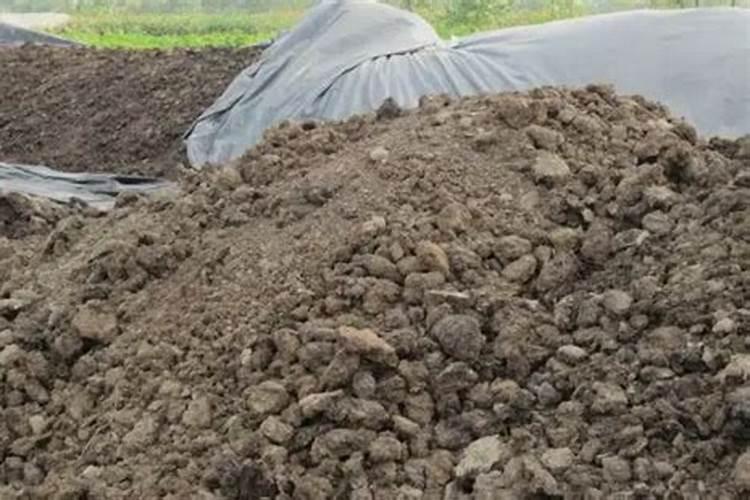 磷肥怎样使用才是正确