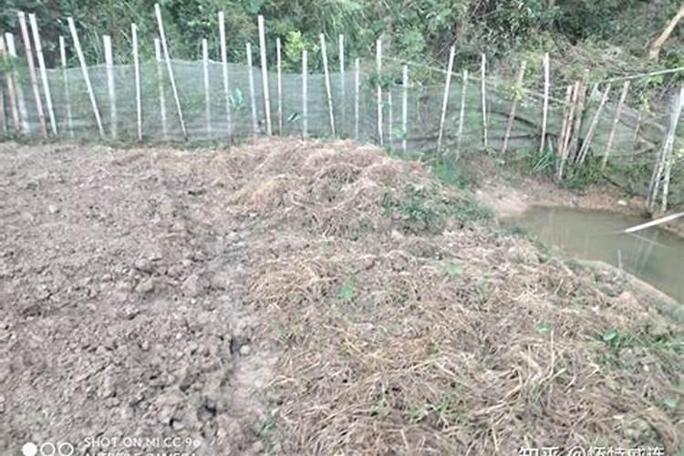 种菜施底肥的正确方法