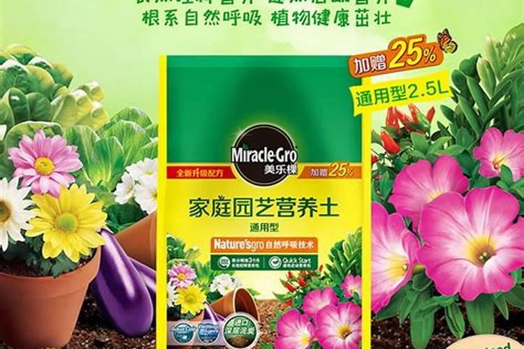 有机肥含量最高的肥料是什么？